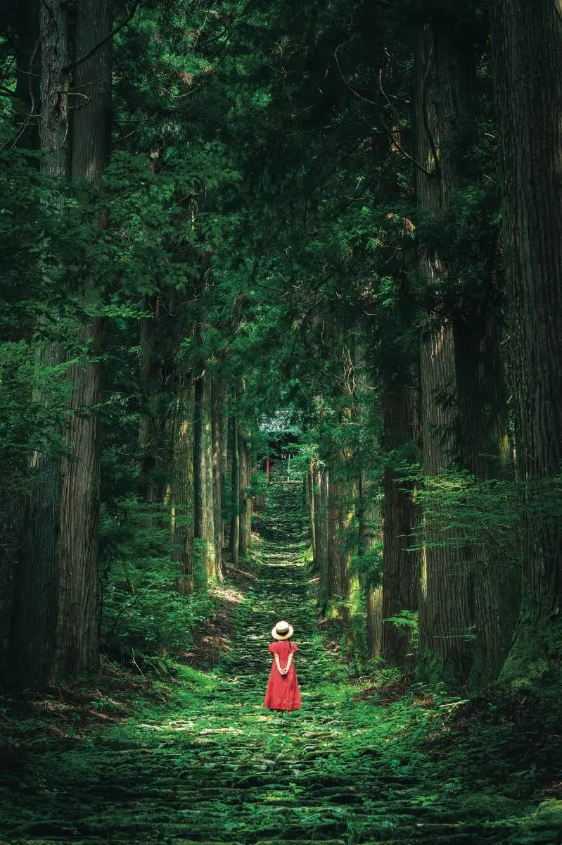 1張照片就暴紅!按讚數狂飆,5處打卡祕境絕景:七彩傘鏡、通往幸福的階梯 1張照片就暴紅!按讚數狂飆,5處打卡祕境絕景:七彩傘鏡、通往幸福的階梯