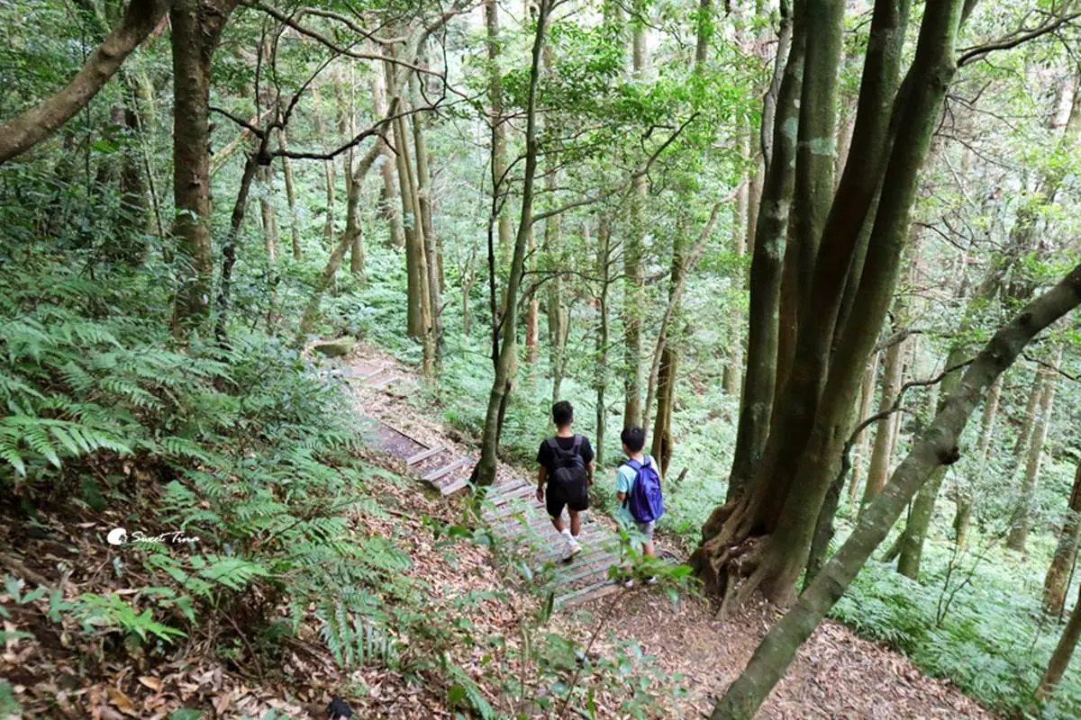 2023桃園繡球花季「這天」開跑!萬株繡球花免費拍爆,順遊周邊4景點+美食 2023桃園繡球花季「這天」開跑!萬株繡球花免費拍爆,順遊周邊4景點+美食