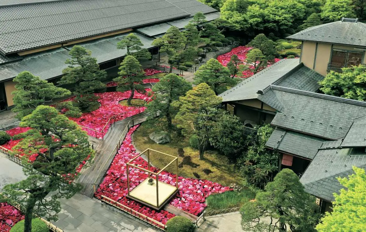 賞花祕境!5處天堂級「花海地毯」:200萬朵向日葵、4萬株繡球花毯、牡丹池 賞花祕境!5處天堂級「花海地毯」:200萬朵向日葵、4萬株繡球花毯、牡丹池
