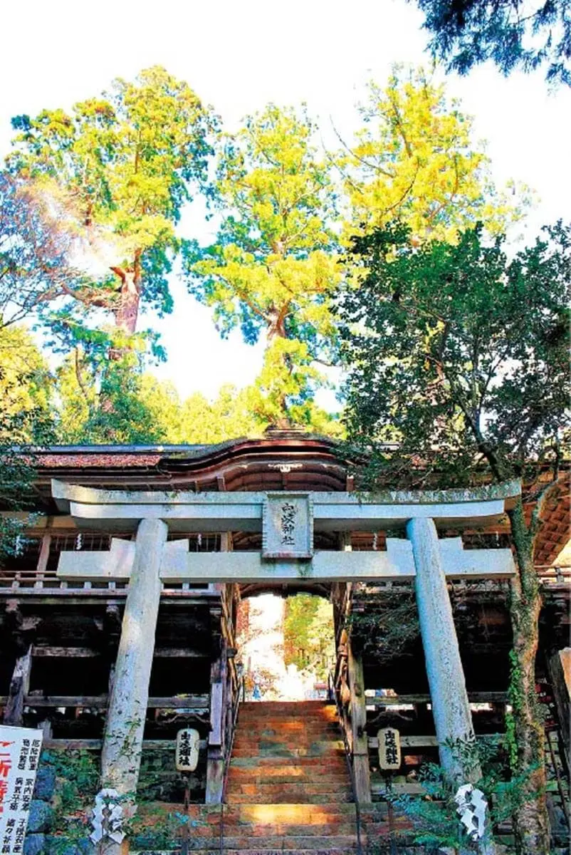 避暑、求好運都有!1日券暢遊京都後花園6景點:超靈驗水占卜、老字號甜點 避暑、求好運都有!1日券暢遊京都後花園6景點:超靈驗水占卜、老字號甜點
