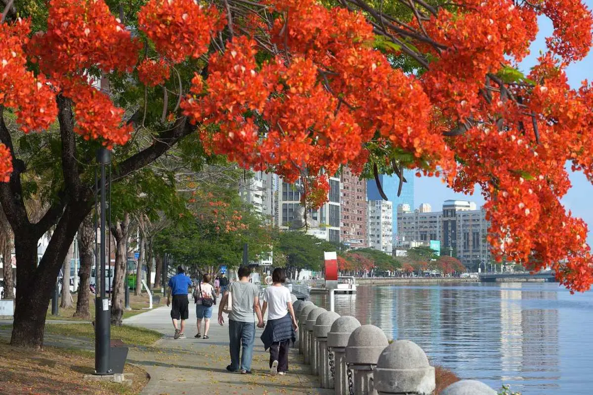 只有4天!高雄人免費衝「愛河市集」,130間特色餐飲+手作攤位一次逛爆 只有4天!高雄人免費衝「愛河市集」,130間特色餐飲+手作攤位一次逛爆