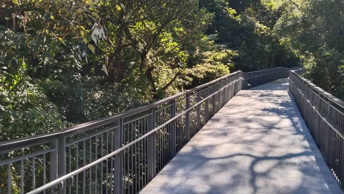 新手也能輕鬆爬!雙北6條超消暑「瀑布步道」:10分鐘攻頂、台版尼加拉瀑布 台版「尼加拉瀑布」免費拍爆!6月起延長開放時間,順遊森林吊橋、復古老街