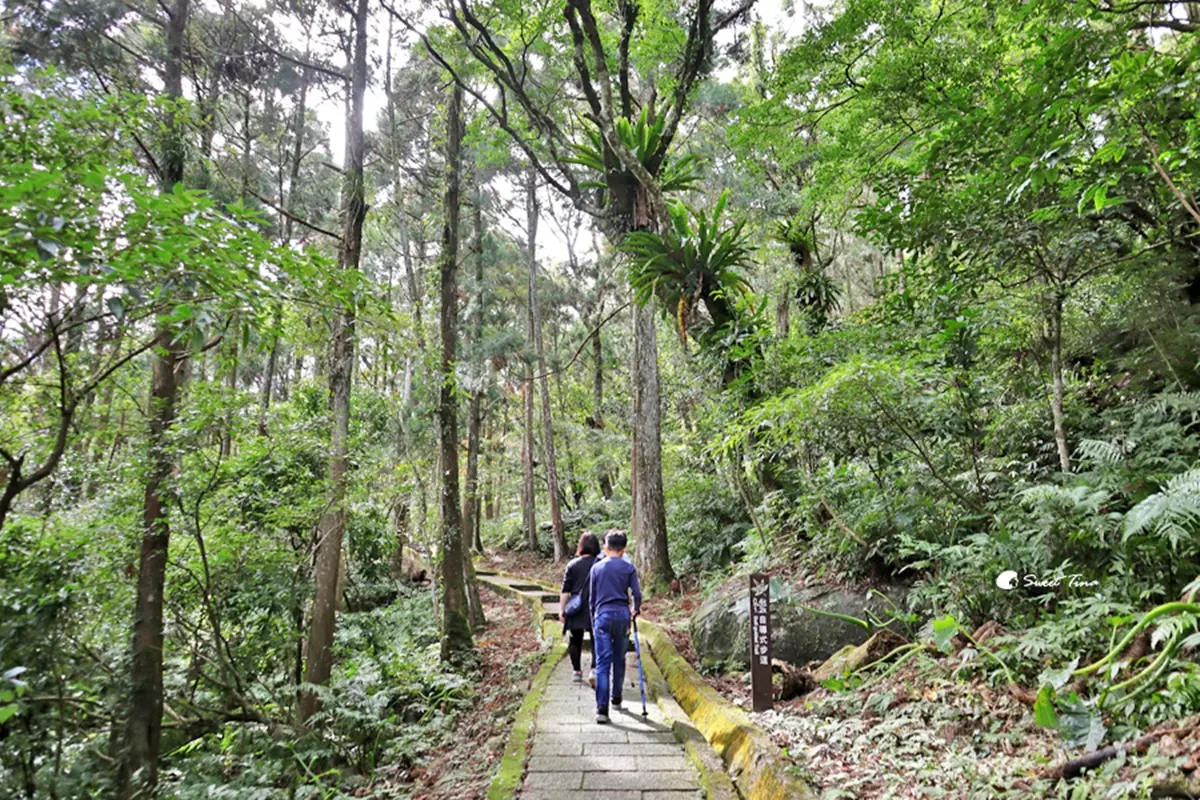 新手也能輕鬆爬!雙北6條超消暑「瀑布步道」:10分鐘攻頂、台版尼加拉瀑布 新手也能輕鬆爬!雙北6條超消暑「瀑布步道」:10分鐘攻頂、台版尼加拉瀑布