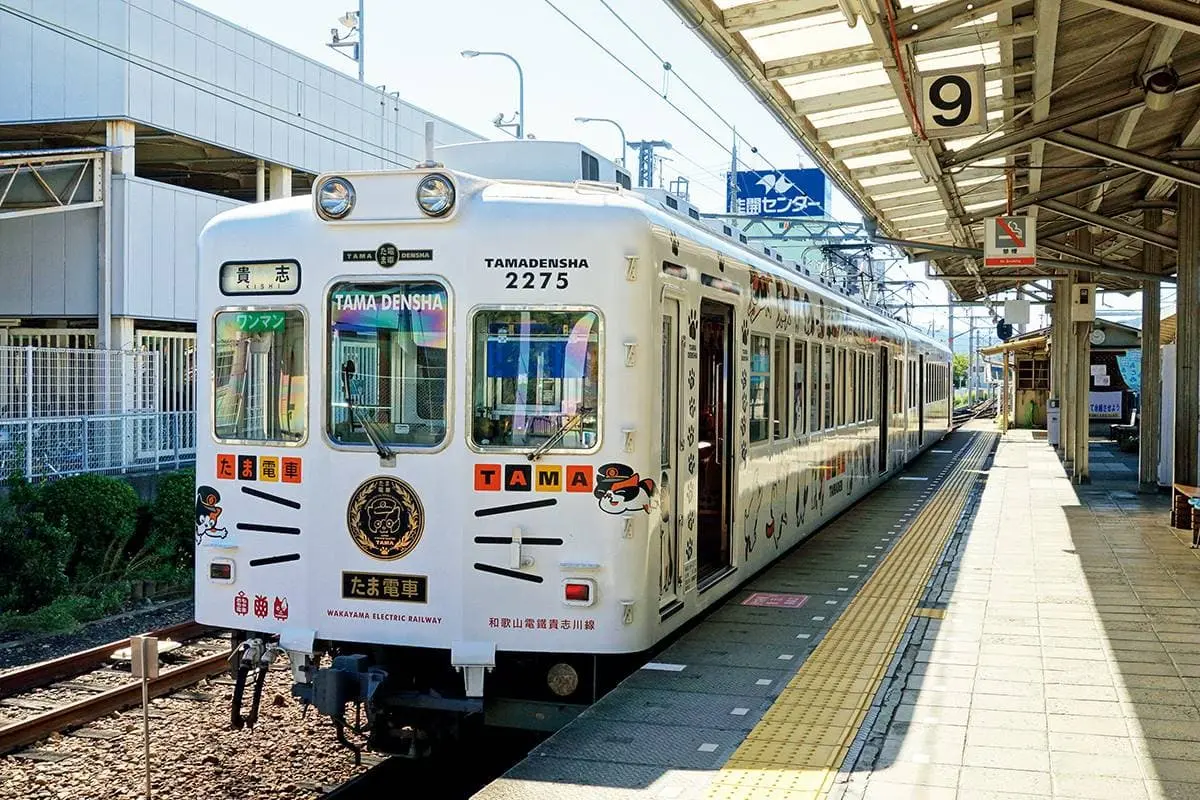 日本「最強貓站長」！一代上任１年吸金日幣11億，快搭「小玉電車」訪繼承人