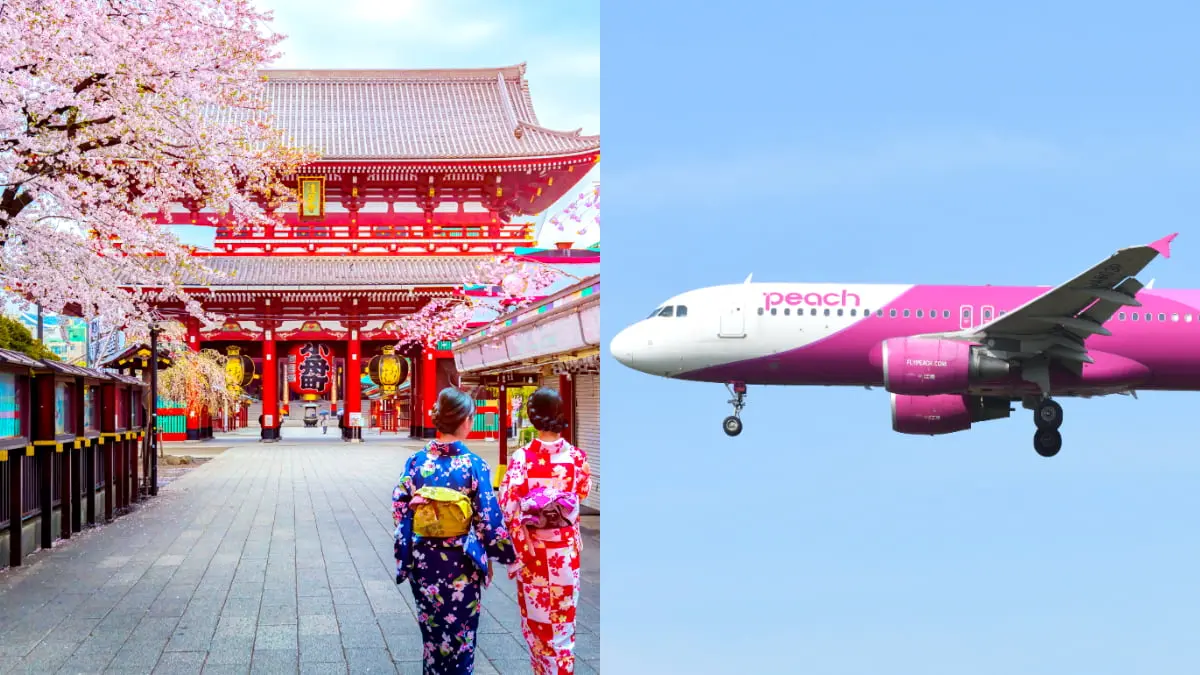 3090元起爽飛日本!7人團購買樂桃「促銷機票」最高7折,明中午準時開搶