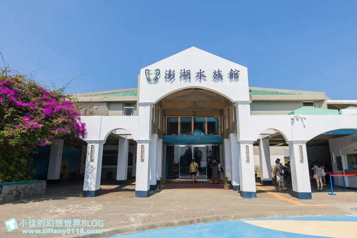 「離島唯一水族館」在這！搶拍14米長海底隧道，加碼體驗觸摸池、魚魚餵食秀