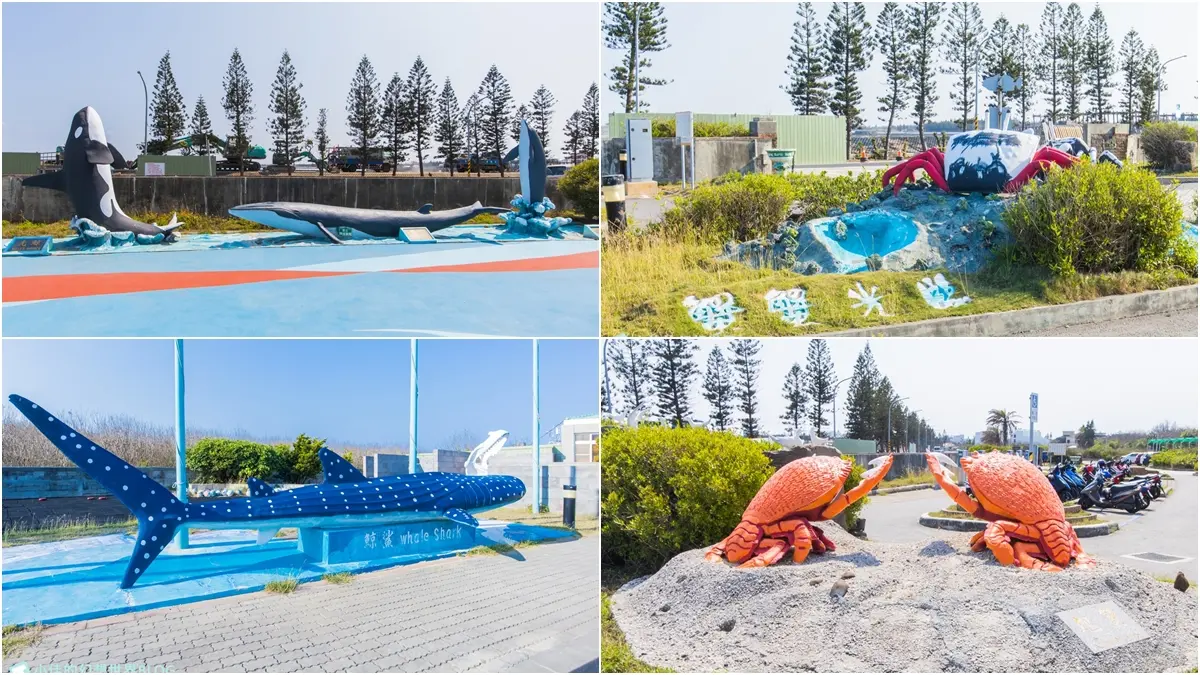 「離島唯一水族館」在這！搶拍14米長海底隧道，加碼體驗觸摸池、魚魚餵食秀