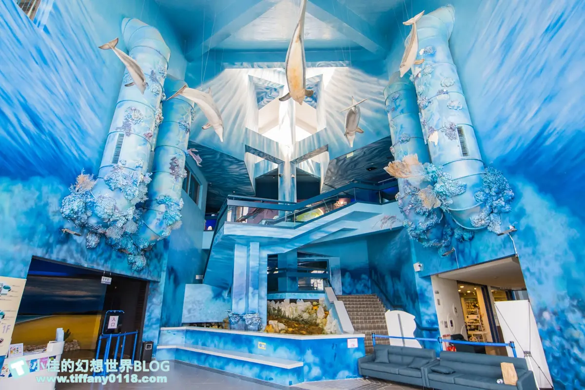 「離島唯一水族館」在這!搶拍14米長海底隧道,加碼體驗觸摸池、魚魚餵食秀 「離島唯一水族館」在這!搶拍14米長海底隧道,加碼體驗觸摸池、魚魚餵食秀