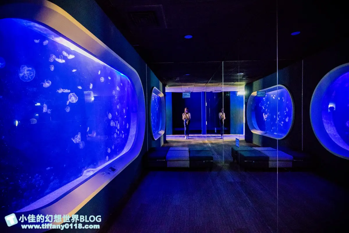 「離島唯一水族館」在這！搶拍14米長海底隧道，加碼體驗觸摸池、魚魚餵食秀
