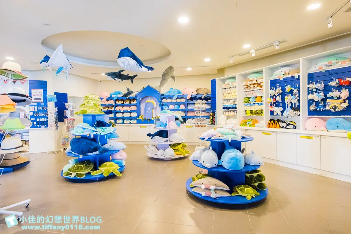 「離島唯一水族館」在這！搶拍14米長海底隧道，加碼體驗觸摸池、魚魚餵食秀