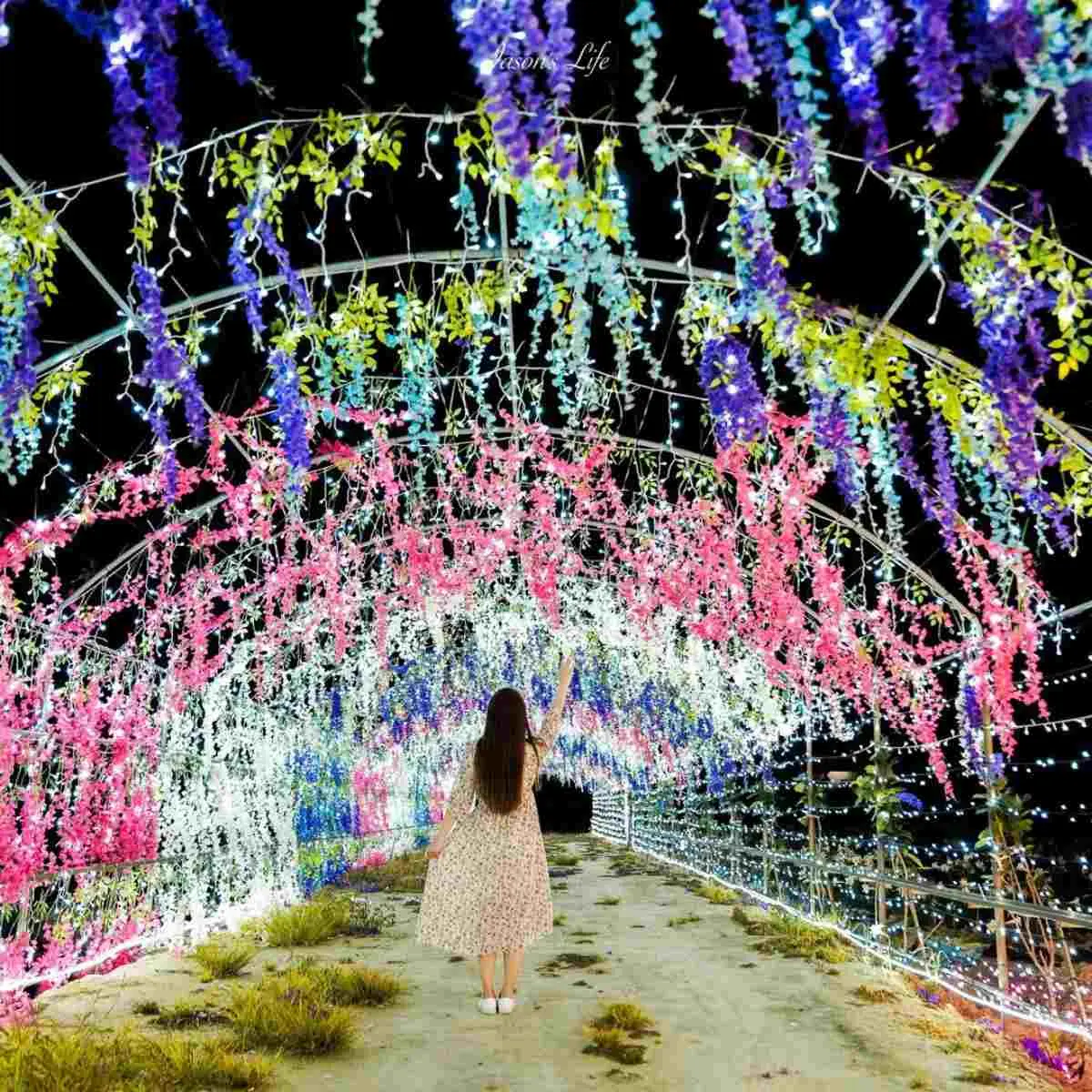桃園人避暑首選!6條超好走私房步道:夢幻水母廊道、台灣小百岳、瀑布祕境 桃園人避暑首選!6條超好走私房步道:夢幻水母廊道、台灣小百岳、瀑布祕境