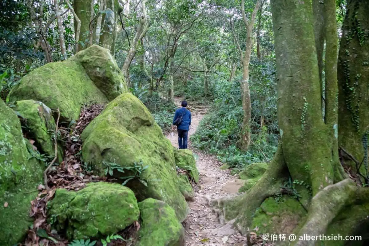 桃園人避暑首選!6條超好走私房步道:夢幻水母廊道、台灣小百岳、瀑布祕境 桃園人避暑首選!6條超好走私房步道:夢幻水母廊道、台灣小百岳、瀑布祕境