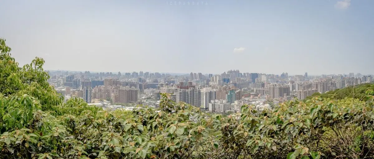桃園人避暑首選!6條超好走私房步道:夢幻水母廊道、台灣小百岳、瀑布祕境 桃園人避暑首選!6條超好走私房步道:夢幻水母廊道、台灣小百岳、瀑布祕境