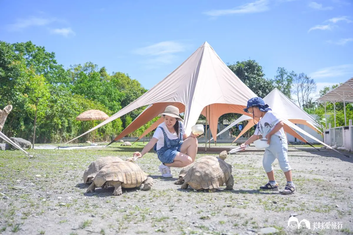 【新開店】最低100元玩到飽!「宜蘭親子農場」近距離餵陸龜、狐獴、柯爾鴨 【新開店】最低100元玩到飽!「宜蘭親子農場」近距離餵陸龜、狐獴、柯爾鴨