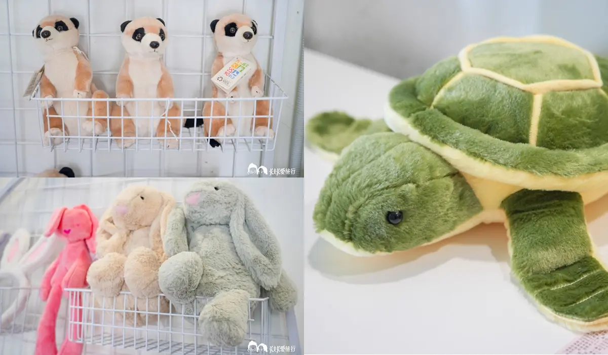 【新開店】最低100元玩到飽!「宜蘭親子農場」近距離餵陸龜、狐獴、柯爾鴨 【新開店】最低100元玩到飽!「宜蘭親子農場」近距離餵陸龜、狐獴、柯爾鴨