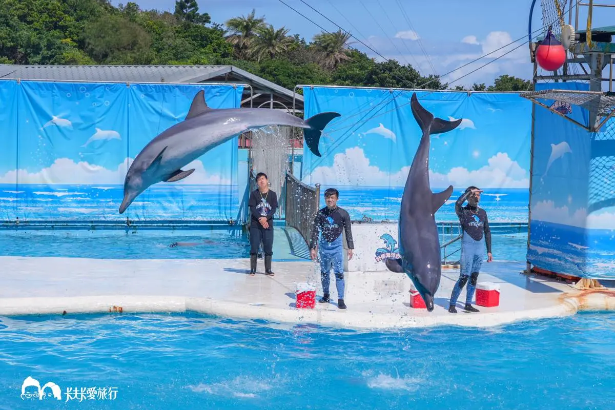 媽媽們都超愛去!親子必逛「最強水族館」TOP6:全台規模最大、獨家美人魚秀 媽媽們都超愛去!親子必逛「最強水族館」TOP6:全台規模最大、獨家美人魚秀