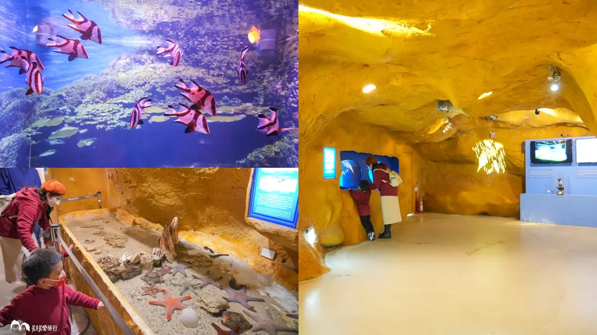 媽媽們都超愛去!親子必逛「最強水族館」TOP6:全台規模最大、獨家美人魚秀 媽媽們都超愛去!親子必逛「最強水族館」TOP6:全台規模最大、獨家美人魚秀