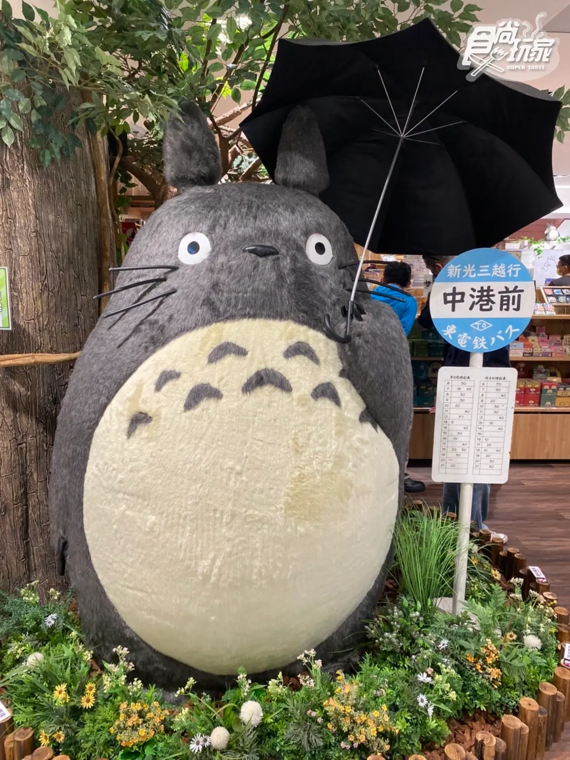 台中人先衝！「橡子共和國」台中中港店大改裝，巨大貓巴士睡袋、送龍貓杯墊