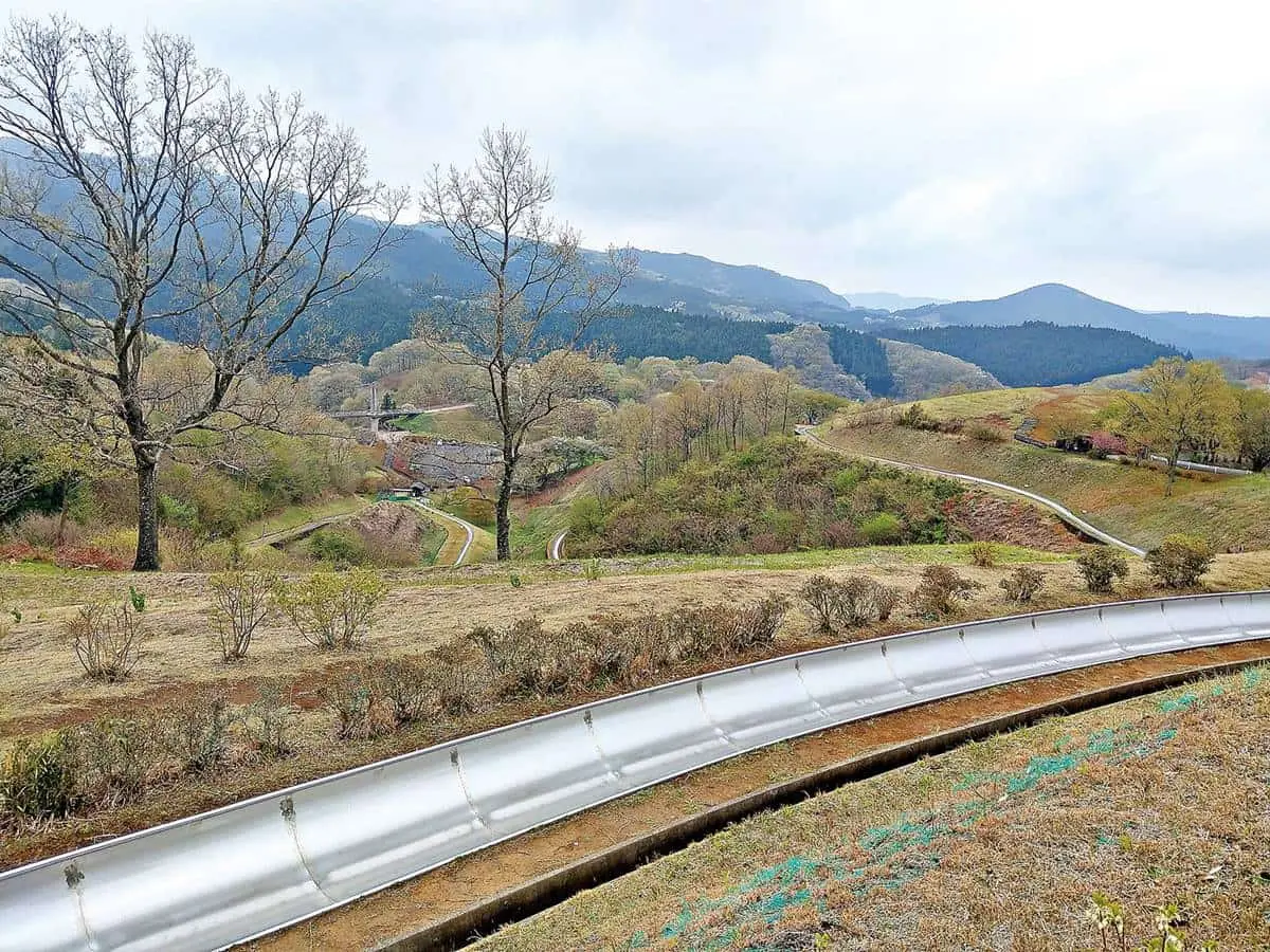 暑假來這放電！東京近郊親子遊５亮點：日本「最長溜滑梯」、可愛海豹霜淇淋