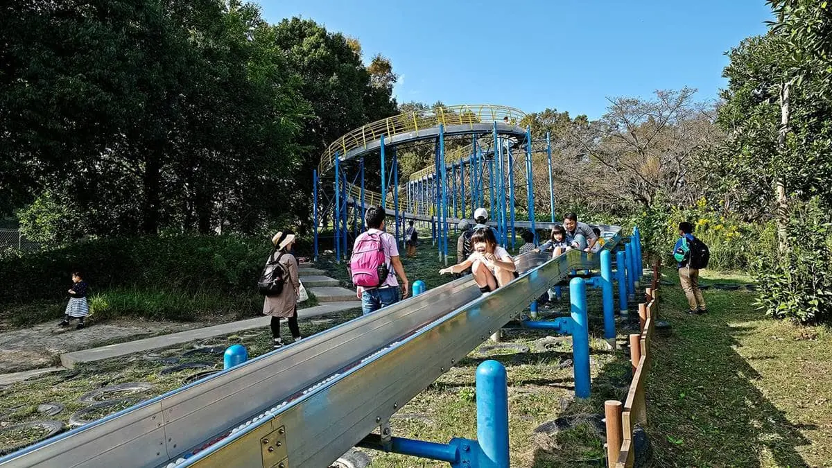 暑假來這放電！東京近郊親子遊５亮點：日本「最長溜滑梯」、可愛海豹霜淇淋