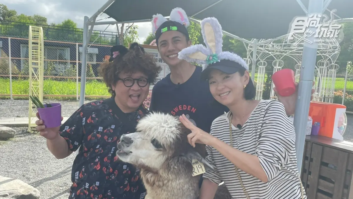 泡湯、餵動物都OK！納豆、六月、子余開箱宜蘭溫泉飯店｜7/5《2天1夜go》網路版
