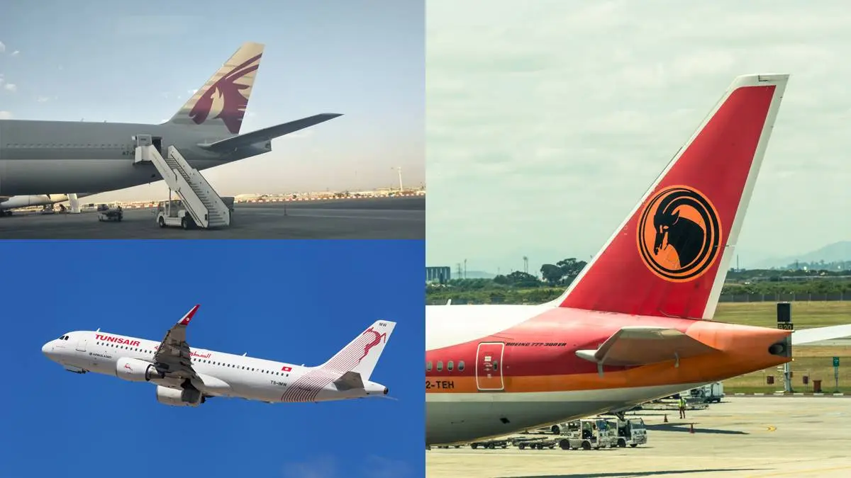 今年出國了沒?各國飛機Logo揭祕,鳥類圖案「這航空」台灣人一定坐過 今年出國了沒?各國飛機Logo揭祕,鳥類圖案「這航空」台灣人一定坐過