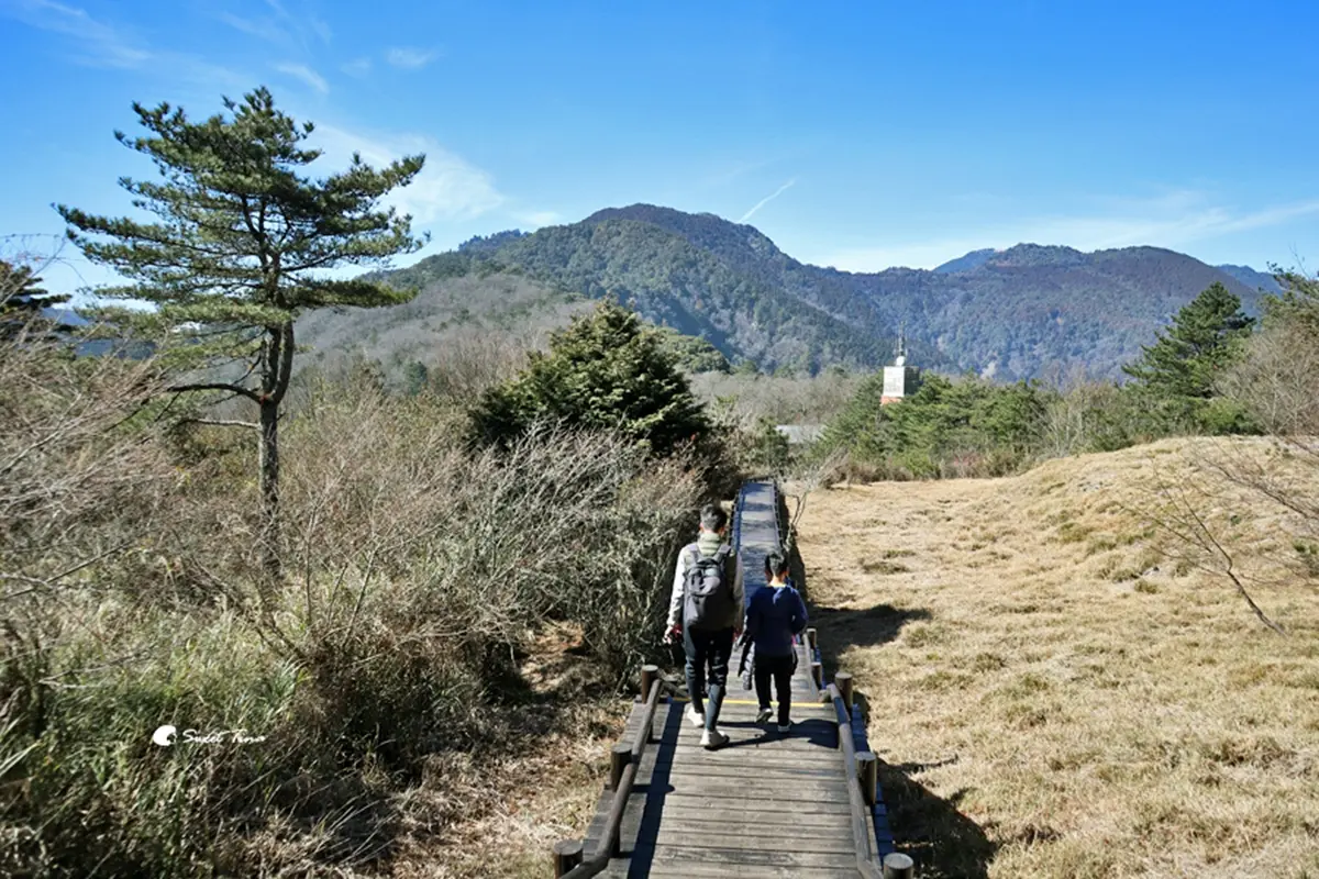 苗栗景點推薦Top40:新開幕文創園區、採草莓,苗栗一日遊玩法 苗栗景點:觀霧國家森林遊樂區