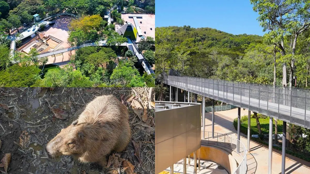暑假帶小孩放電！必逛「最強動物園」TOP６：全台面積最大、12歲以下免費入園