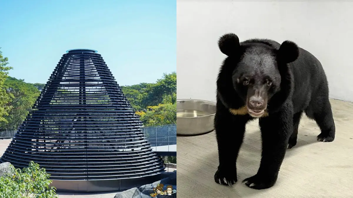 暑假帶小孩放電！必逛「最強動物園」TOP６：全台面積最大、12歲以下免費入園