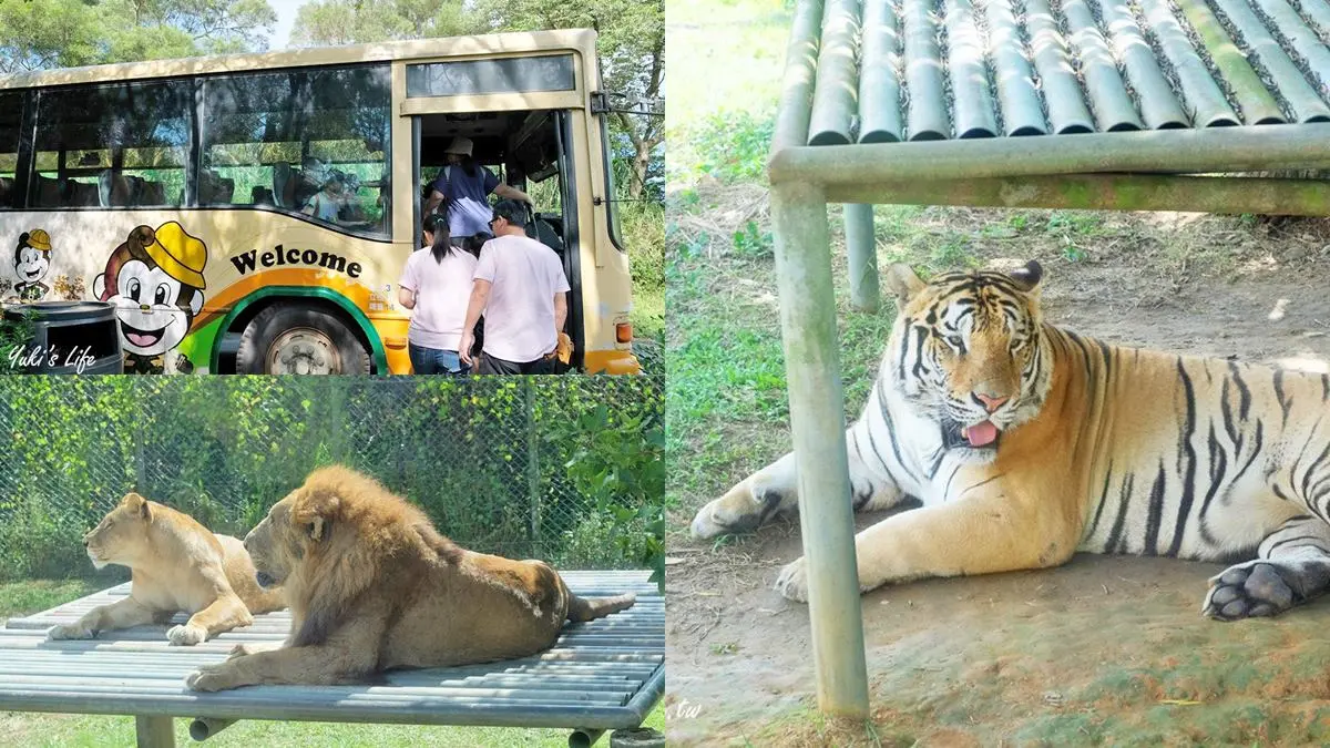 暑假帶小孩放電！必逛「最強動物園」TOP６：全台面積最大、12歲以下免費入園