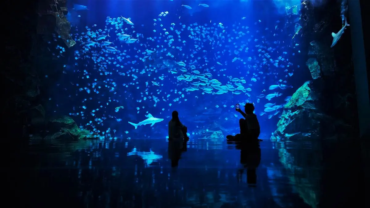 夜訪水族館美炸了！Xpark星光場「這天」開跑，入夜搶拍巨型水槽、門票８折