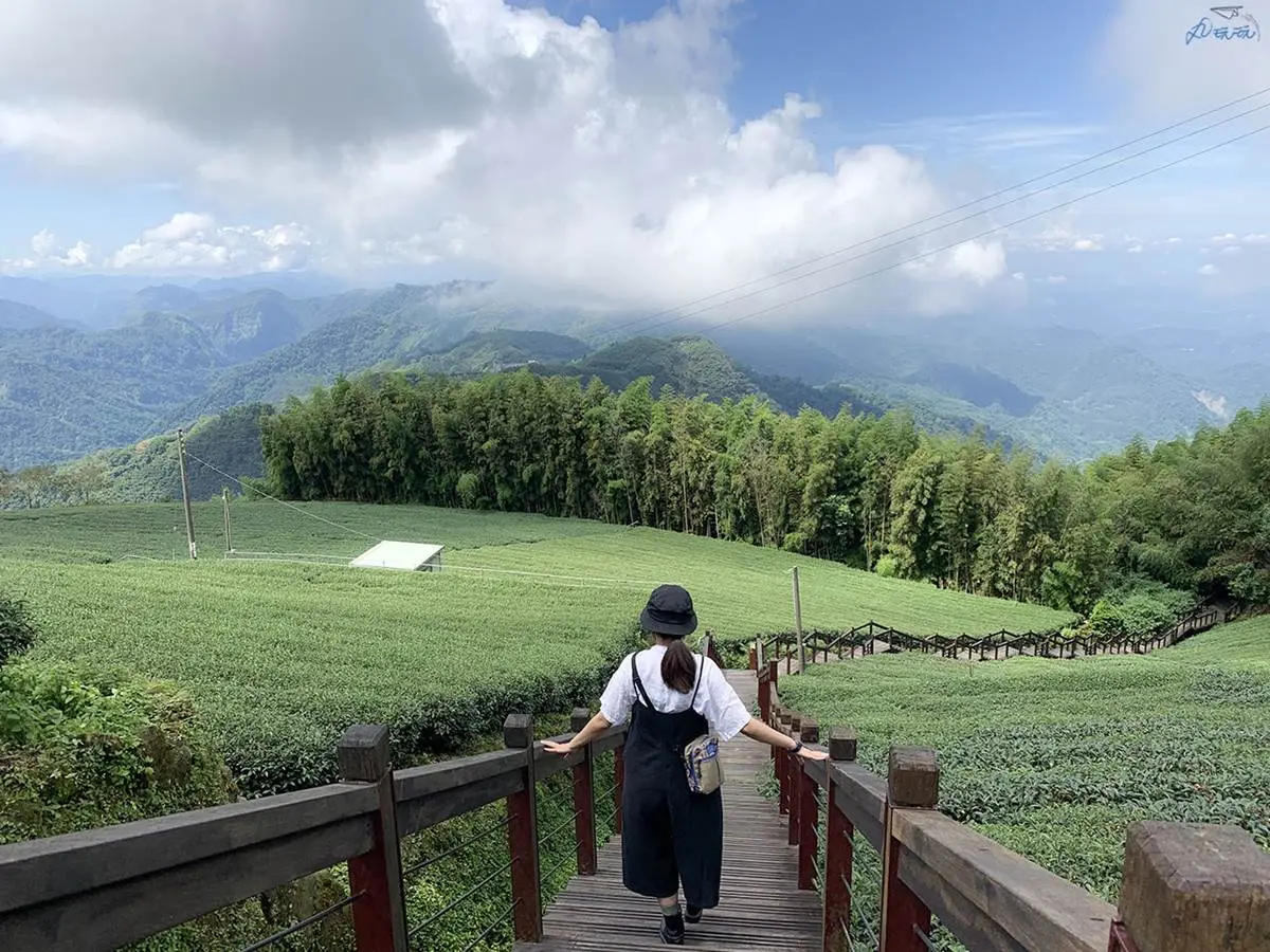 嘉義最消暑玩法!2大瀑布祕境+10條森林步道:阿里山五星級步道、嵐山竹林 嘉義最消暑玩法!2大瀑布祕境+10條森林步道:阿里山五星級步道、嵐山竹林