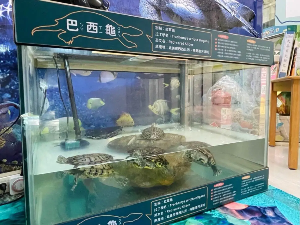 免花錢帶小孩放電!台北11大最強「免費親子館」:迷你駕訓班、樹屋遊樂場 免花錢帶小孩放電!台北11大最強「免費親子館」:迷你駕訓班、樹屋遊樂場