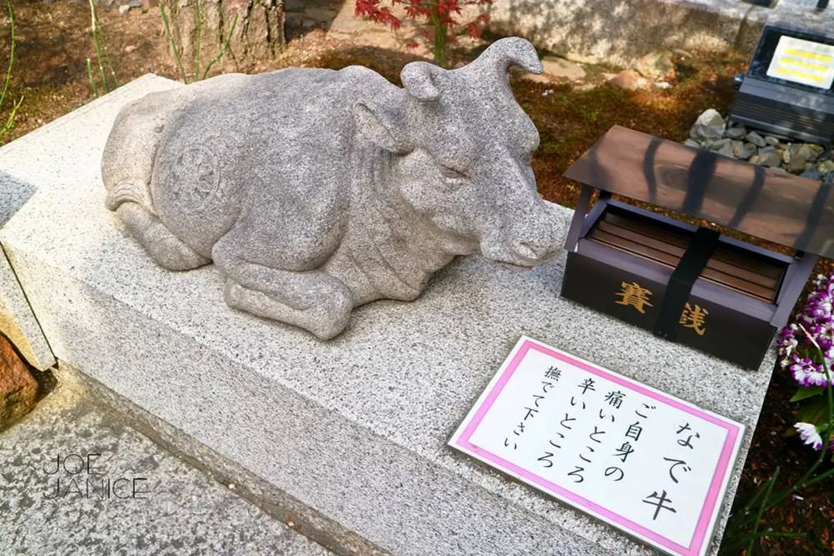 發大財來這!5間愈拜愈有錢「招財神社」:「洗錢」DIY錢母、黃金鳥居超吸金 發大財來這!5間愈拜愈有錢「招財神社」:「洗錢」DIY錢母、黃金鳥居超吸金