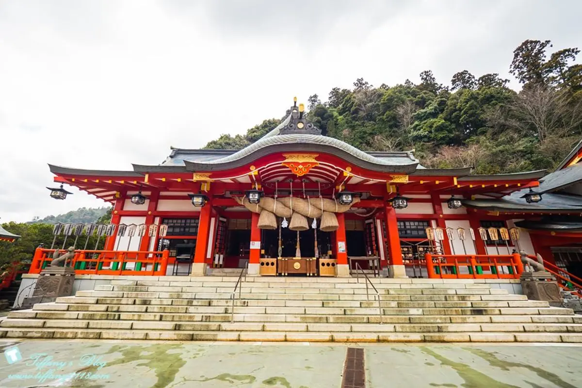 發大財來這!5間愈拜愈有錢「招財神社」:「洗錢」DIY錢母、黃金鳥居超吸金 發大財來這!5間愈拜愈有錢「招財神社」:「洗錢」DIY錢母、黃金鳥居超吸金