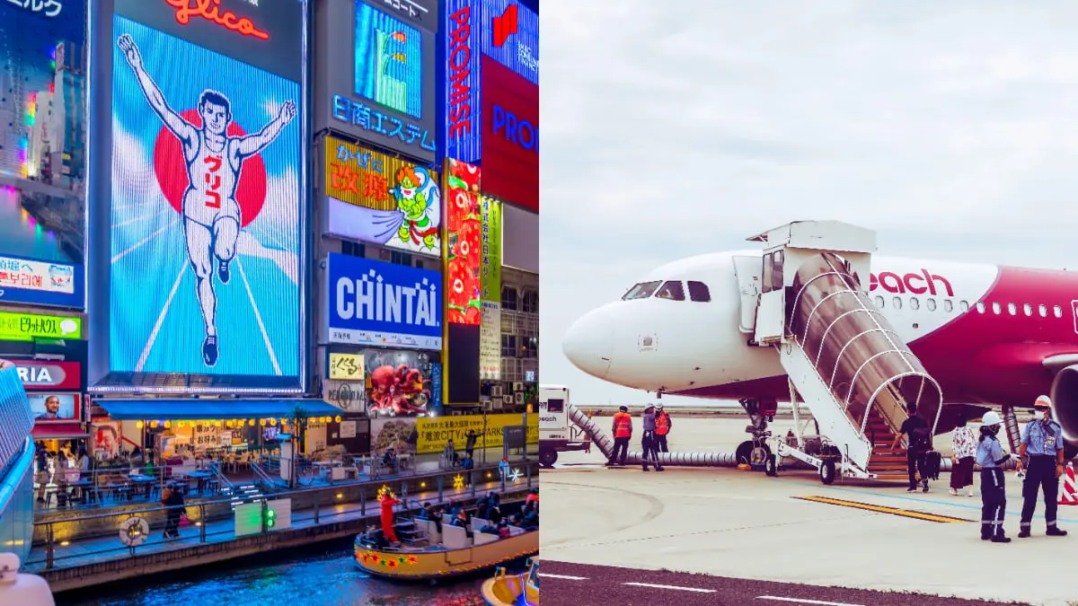 最低免3000元飛日本！樂桃航空航線促銷「只有３天」，加碼購票方式一次看