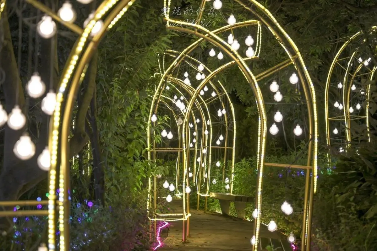 只到８月底快朝聖！桃園免門票「夜景步道」夢幻光雕秀美翻，搶拍水母光廊