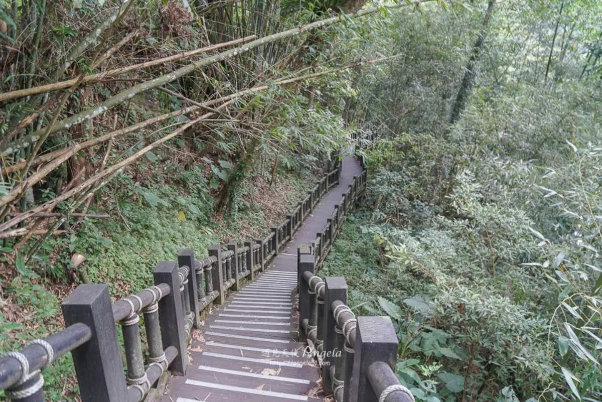 避暑祕境快收藏!苗栗6條免門票「私房步道」:羽量級小百岳、美國大峽谷 避暑祕境快收藏!苗栗6條免門票「私房步道」:羽量級小百岳、美國大峽谷