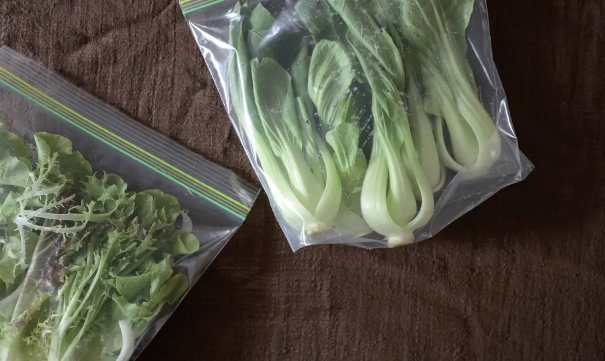 每月花６千就餵飽全家？達人教激省「聰明買菜術」，「這食材」買愈多賺愈多