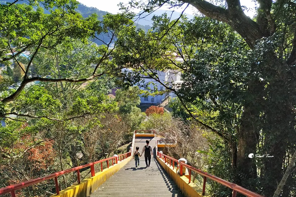 最快５分鐘輕鬆攻頂！新北９條懶人步道：台版「奧入瀨溪流」、絕美陰陽海