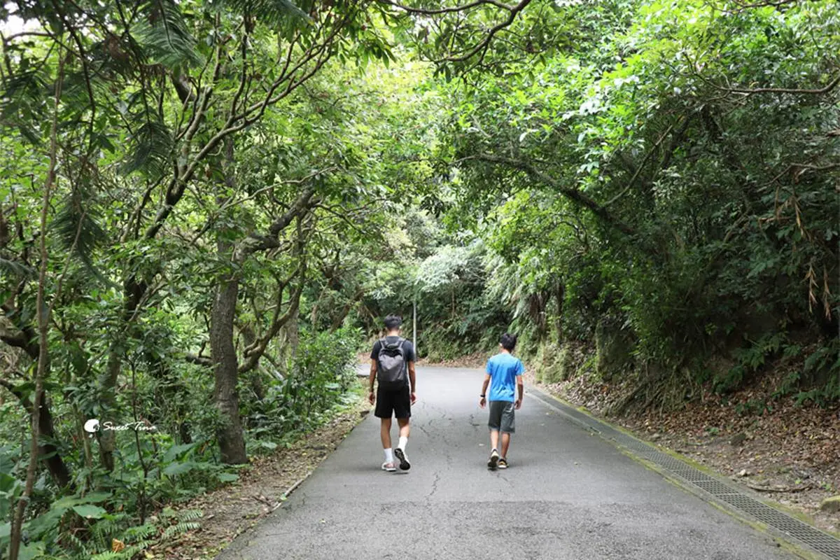 最快5分鐘輕鬆攻頂!新北9條懶人步道:台版「奧入瀨溪流」、絕美陰陽海 最快5分鐘輕鬆攻頂!新北9條懶人步道:台版「奧入瀨溪流」、絕美陰陽海
