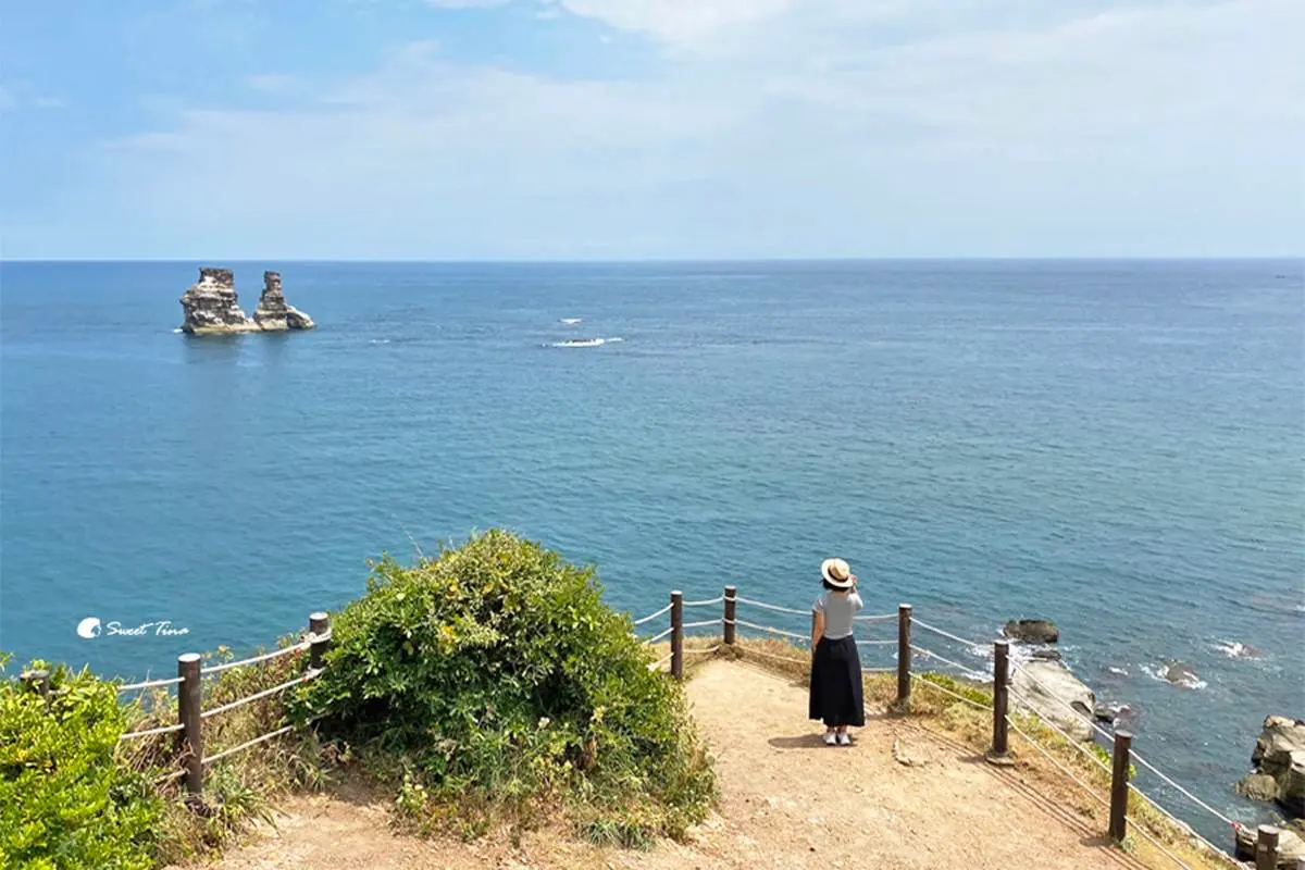 別只逛金山老街!新北人私藏6大祕境:無敵海景公車亭、全台戶外最大美術館 最快5分鐘輕鬆攻頂!新北9條懶人步道:台版「奧入瀨溪流」、絕美陰陽海