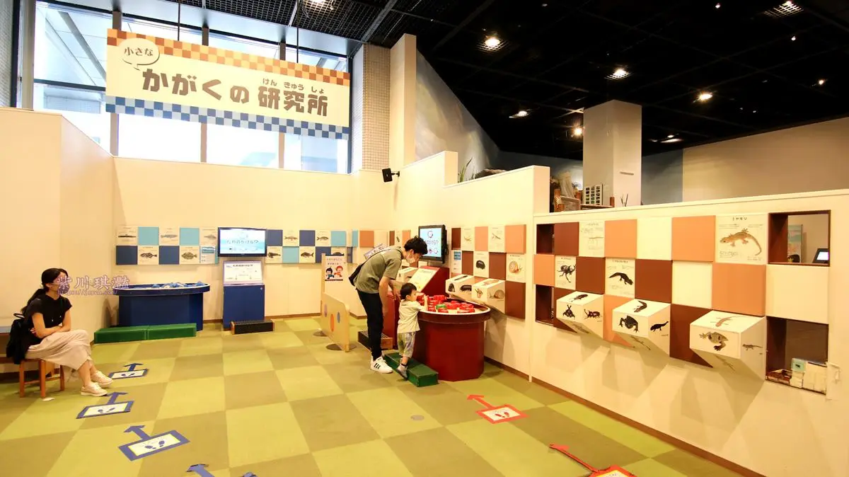占地５層樓兒童城在這！入園先衝３樓高溜滑梯，再cosplay郵差、叫賣哥玩翻