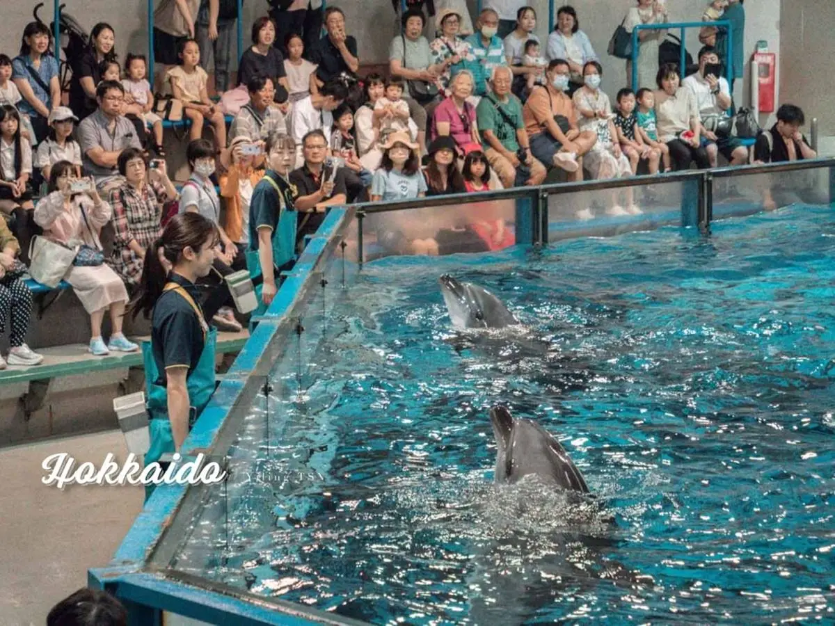 不用飛北歐！童話風「城堡水族館」在這，先搭摩天輪再看暴紅「大王具足蟲」