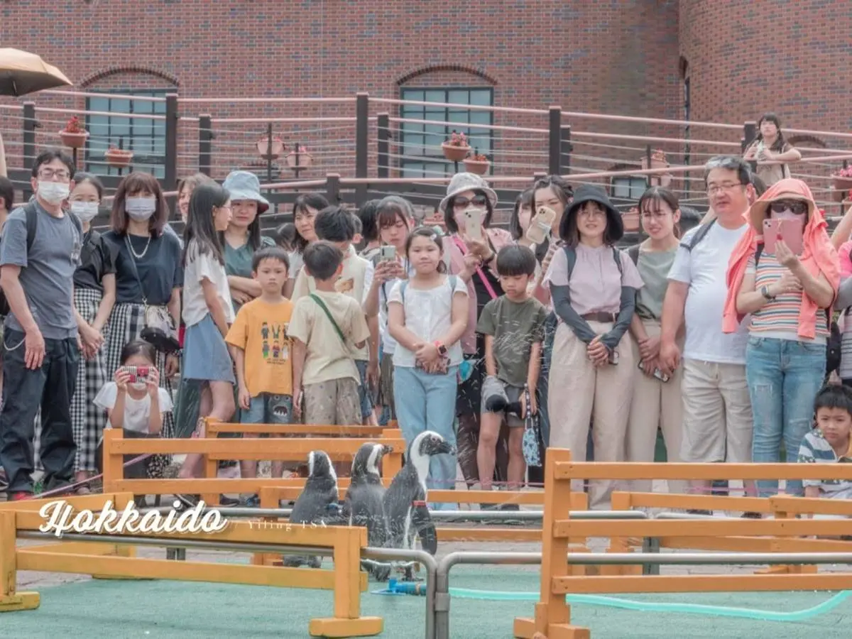 不用飛北歐！童話風「城堡水族館」在這，先搭摩天輪再看暴紅「大王具足蟲」