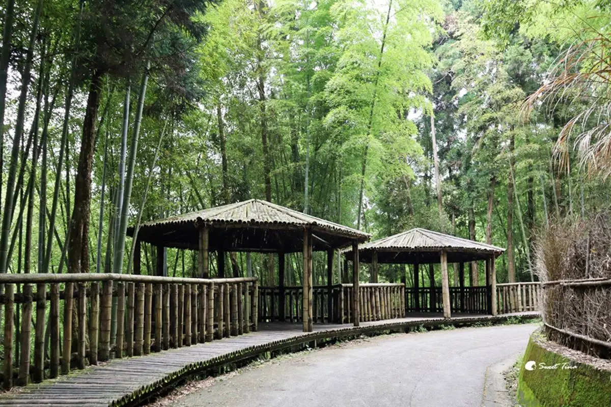 雲林免費景點推薦TOP12:飛天鵝溜滑梯、彩色松鼠公園、1秒飛泰國的台版大皇宮 雲林親子景點推薦:五元兩角