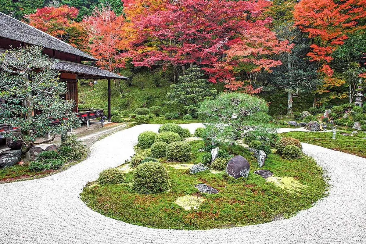 京都賞楓準備!最美路線5景點1次玩:每年限時開放、晚上還能賞夜楓 京都賞楓準備!最美路線5景點1次玩:每年限時開放、晚上還能賞夜楓