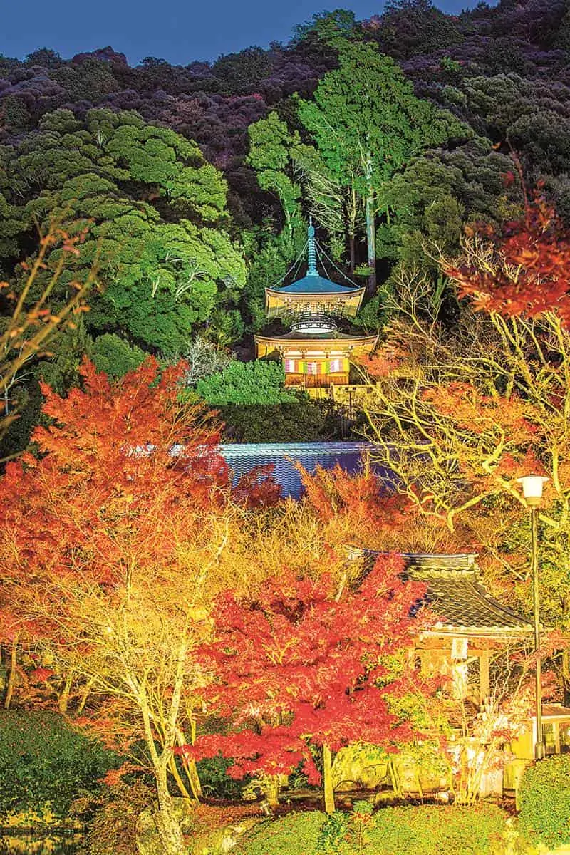 京都賞楓準備!最美路線5景點1次玩:每年限時開放、晚上還能賞夜楓 京都賞楓準備!最美路線5景點1次玩:每年限時開放、晚上還能賞夜楓