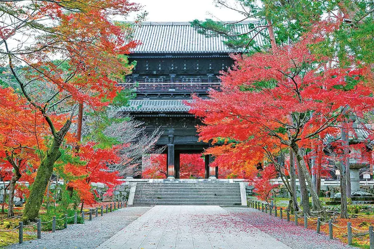 京都賞楓準備!最美路線5景點1次玩:每年限時開放、晚上還能賞夜楓 京都賞楓準備!最美路線5景點1次玩:每年限時開放、晚上還能賞夜楓