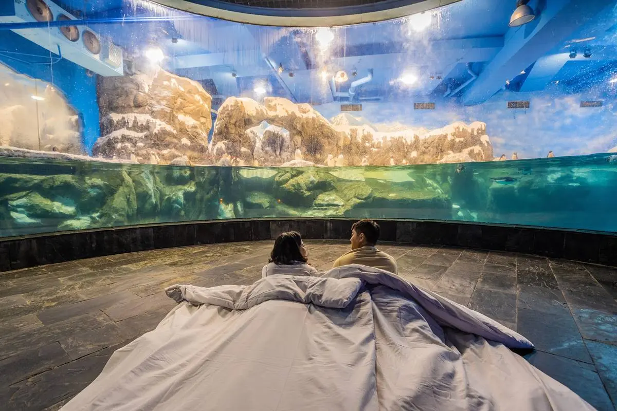2024夜宿最美海生館「這天」開賣!「這類人」現省200元,搶住夢幻海底隧道 2024夜宿最美海生館「這天」開賣!「這類人」現省200元,搶住夢幻海底隧道
